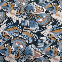 Presentpapper Bluewing