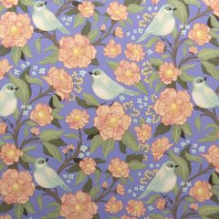 Presentpapper Songbird